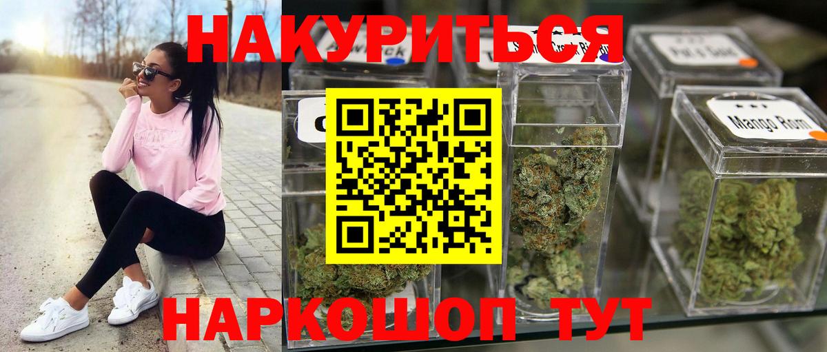 Конопля сатива Димитровград